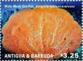 Colnect-3012-995-Wide-mash-Sea-Fan-Gorgonia-marieae-cavernosa.jpg