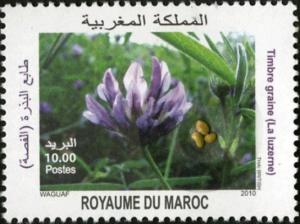 Colnect-1343-035-Alfalfa---Medicago-sativa.jpg