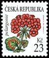 Colnect-3764-546-Flowers-Geranium.jpg