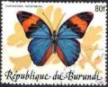 Colnect-3806-776-Gold-banded-Forester-Euphaedra-neophron.jpg