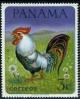 Colnect-1296-061-Rooster-Gallus-gallus-domesticus.jpg