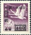 Colnect-774-695-Tundra-Swans-over-Globe-Swan-Geese-Anser-cygnoides.jpg