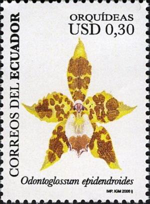 Colnect-5837-334-Odontoglossum-epidendroides.jpg