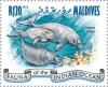 Colnect-4291-003-Dugong-Dugong-dugon.jpg
