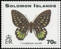 Colnect-3987-227-Meek--s-Graphium-Graphium-meeki.jpg