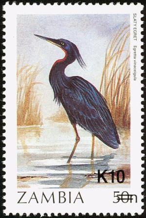 Colnect-864-841-Slaty-Egret-Egretta-vinaceigula-overprint.jpg