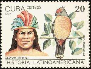 Colnect-2133-196-Abayuba-Indian-of-Uruguay-White-tipped-Plantcutter-Phytoto.jpg