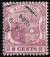 STS-Mauritius-2-300dpi.jpeg-crop-263x305at272-1561.jpg