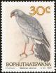 Colnect-1456-691-Pale-Chanting-Goshawk-Melierrax-canorus.jpg