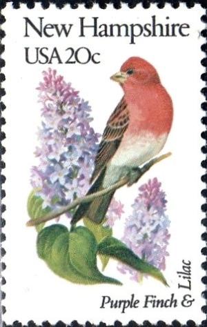 Colnect-4136-381-New-Hampshire---Purple-Finch-Lilac.jpg