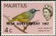 Colnect-734-494-Mauritius-Olive-White-eye-Zosterops-chloronothos.jpg