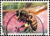 Colnect-2341-666-Giant-Honeybee-Apis-dorsata.jpg