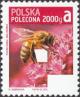 Colnect-4808-319-European-Honey-Bee-Apis-mellifera.jpg