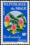 Colnect-2635-884-Dichrostachys-cinerea.jpg