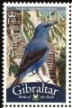 Colnect-2172-230-Blue-Rock-Thrush-Monticola-solitarius.jpg