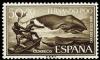 Colnect-1673-241-Southern-Right-Whale-Eubalaena-australis.jpg