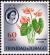 Colnect-3750-287-Anthurium-Anthurium-sp.jpg