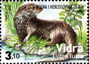Colnect-3016-555-Eurasian-Otter-Lutra-lutra.jpg