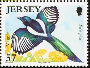 Colnect-4400-321-Eurasian-Magpie-Pica-pica.jpg