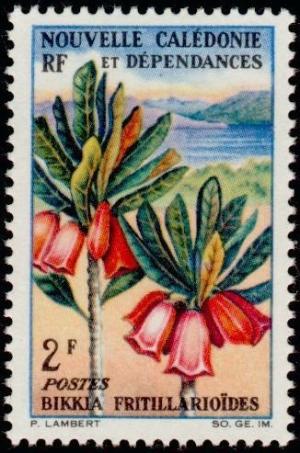 Colnect-853-807-Bikkia-fritillario%C3%AFdes.jpg