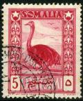 Colnect-1550-202-Somali-Ostrich-Struthio-molybdophanes.jpg