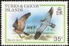 Colnect-1764-334-Northern-Harrier%C2%A0Circus-cyaneus-hudsonius.jpg