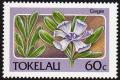 Colnect-1820-392-Gagie-Pemphis-acidula.jpg