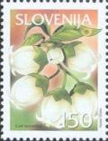 Colnect-699-051-Bilberry-Blossoms.jpg