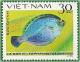 Colnect-1102-271-Chinese-Brill-Tephrinectes-sinensis.jpg