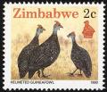 Colnect-2343-074-Helmeted-Guineafowl-Numidia-meleagris-.jpg