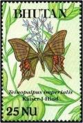 Colnect-2891-040-Kaiser-i-Hind-Teinopalpus-imperialis.jpg