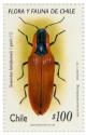 Colnect-566-760-Semiotus-luteipennis.jpg