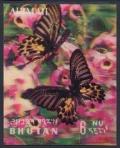 Colnect-1567-637-Magellan-Birdwing-Troides-magellanus.jpg
