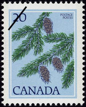 Colnect-832-693-Douglas-fir-Pseudotsuga-menziesii.jpg