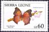 Colnect-2556-404-Lilac-Beauty-Salamis-cacta-Stenandriopsis-guineensis.jpg