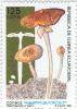 Colnect-759-079-Termitomyces-le-testui.jpg