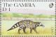 Colnect-2325-260-African-Civet-Civettictis-civetta.jpg