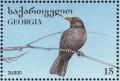 Colnect-1104-868-Blackbird-turdus-merula.jpg