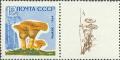 Colnect-193-893-Saffron-milk-cap-Lactarius-deliciosus.jpg