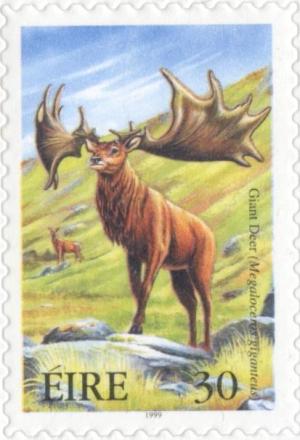 Colnect-129-658-Irish-Elk-Megaloceros-giganteus.jpg