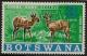 Colnect-1299-325-Bushbuck-Tragelaphus-scriptus.jpg