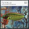 Colnect-6292-380-Thalassoma-Trilobatum.jpg