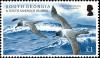 Colnect-3154-364-Light-mantled-Albatross-Phoebetria-palpebrata.jpg
