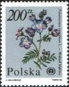 Colnect-1999-873-Polemonium-coeruleum.jpg