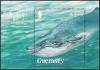 Colnect-4202-290-Blue-Whale-Balaenoptera-musculus.jpg