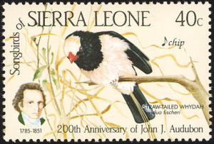 Colnect-1618-018-Straw-tailed-Whydah-Vidua-fischeri.jpg