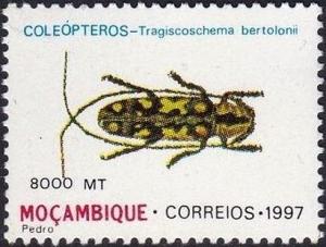Colnect-2492-888-Longhorn-Beetle-Tragiscoschema-bertolonii.jpg
