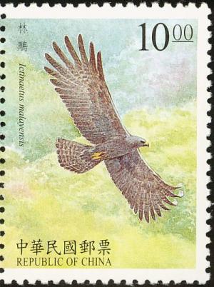 Colnect-2513-276-Black-Eagle%C2%A0Ictinaetus-malaiensis.jpg