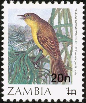 Colnect-864-838-Papyrus-Yellow-Warbler-Calamonastides-gracilirostris.jpg
