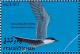 Colnect-1428-097-Common-Gull-billed-Tern-Gelochelidon-nilotica.jpg